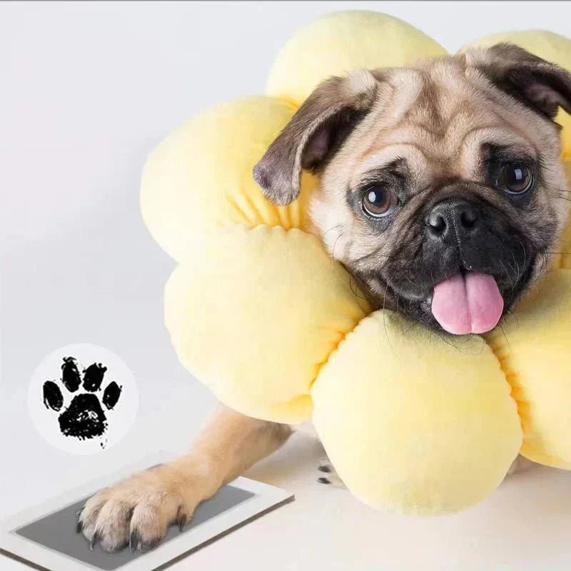 ForeverPaws™ - Inktloze Hand/Poot Stempel met Fotolijst - Zinavić