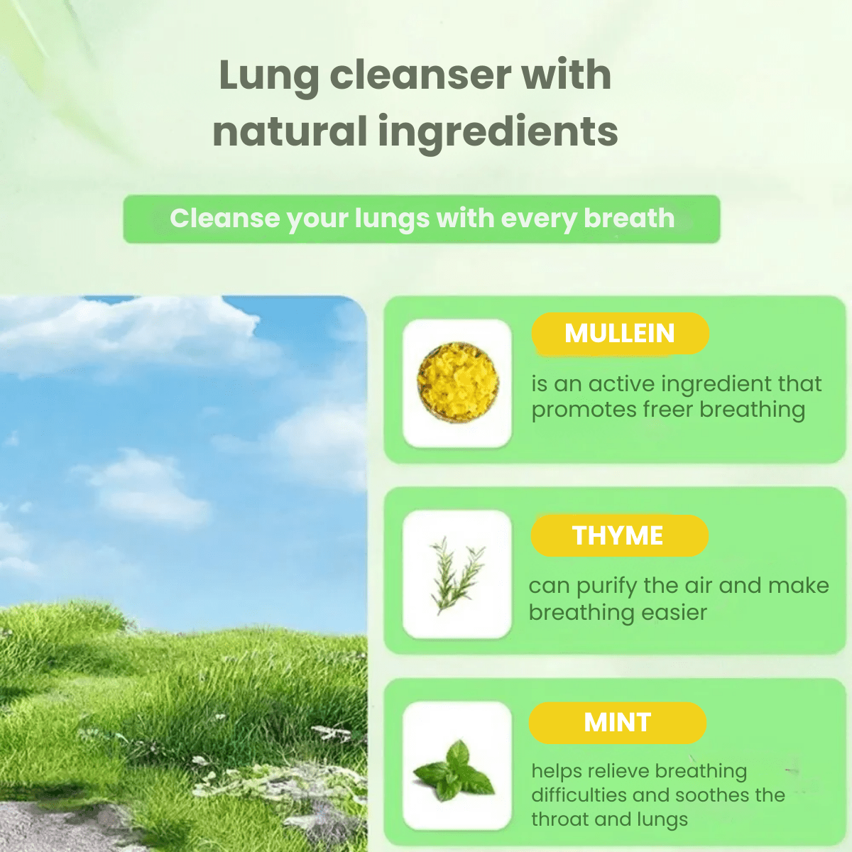 LungGuard™ – Cleanse your lungs & breathe easier every day! - Marova