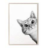 CatArt™ - Creëer een mooie en speelse sfeer! - Zinavić