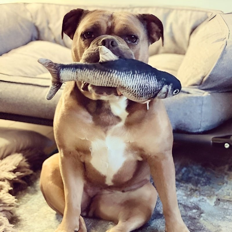 FishBop™ - Interactief plezier voor harige vrienden - Zinavić