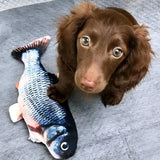 FishBop™ - Interactief plezier voor harige vrienden - Zinavić