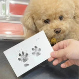 ForeverPaws™ - Inktloze Hand/Poot Stempel met Fotolijst - Zinavić