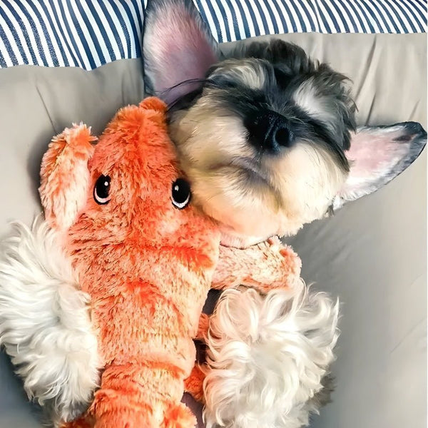 FurryPal™ - Eindeloos plezier voor je harige vriend - Zinavić