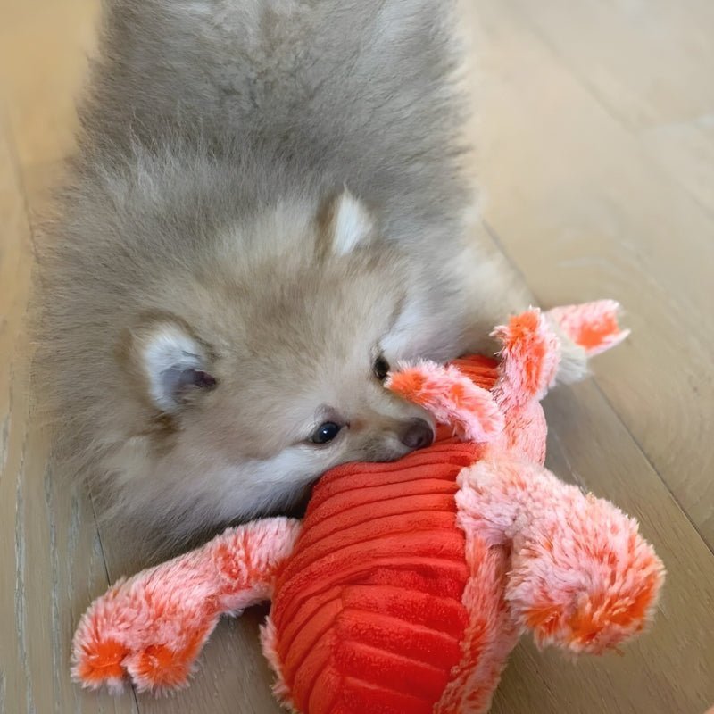 FurryPal™ - Eindeloos plezier voor je harige vriend - Zinavić