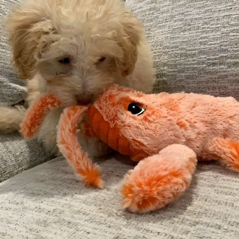 FurryPal™ - Eindeloos plezier voor je harige vriend - Zinavić