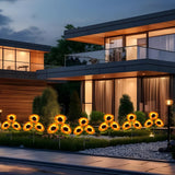 SunBloom™ – Let your garden shine & enjoy atmospheric evenings! - Marova