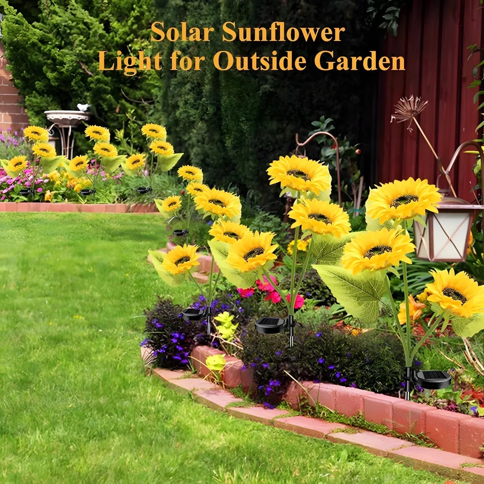 SunBloom™ – Let your garden shine & enjoy atmospheric evenings! - Marova