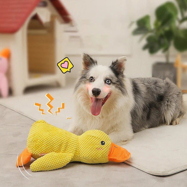 Quacky - Ultieme Eend Pluche Hondenspeelgoed - Zinavić