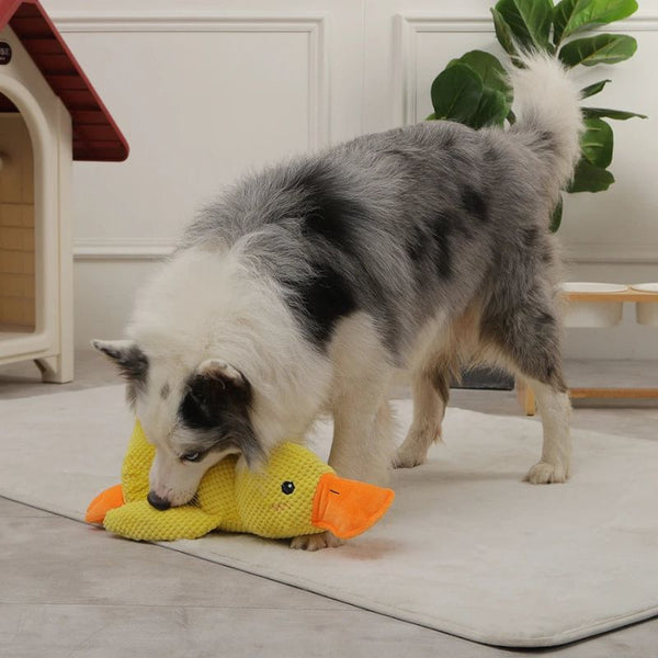 Quacky - Ultieme Eend Pluche Hondenspeelgoed - Zinavić